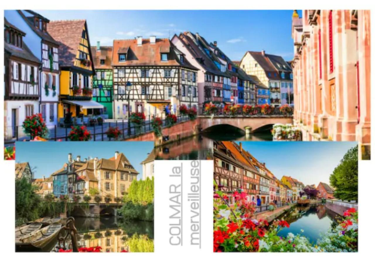 Peyerimhoff Colmar - 3 Chambres - 8 Pers - Clim Eksteriør bilde