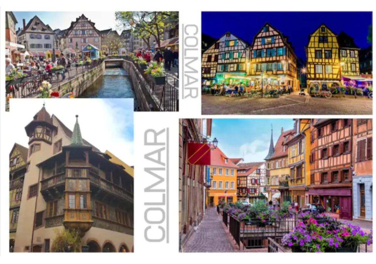 Peyerimhoff Colmar - 3 Chambres - 8 Pers - Clim Eksteriør bilde